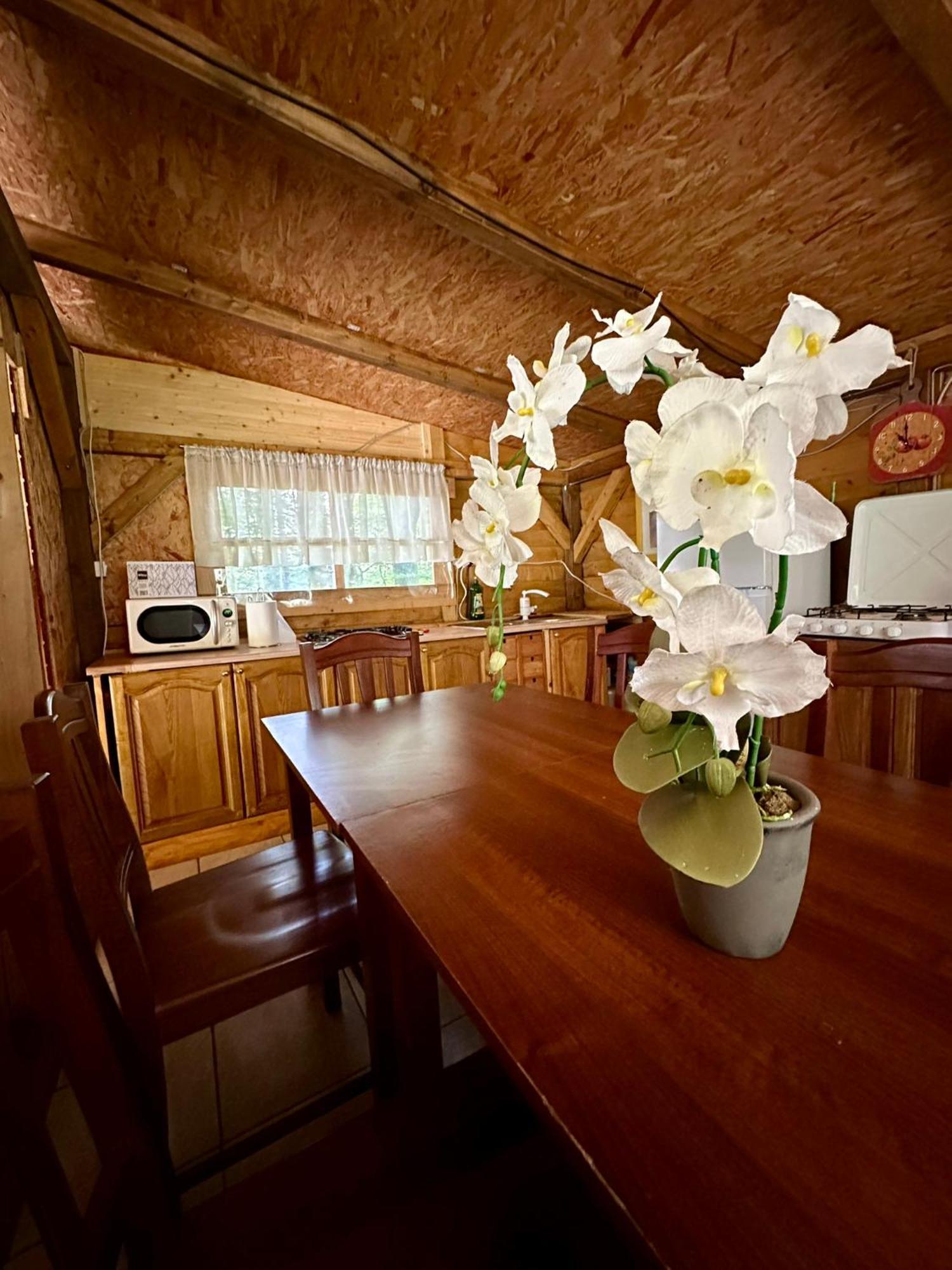 Glamping Krn Hotel Kobarid Exterior photo